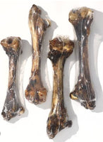 Kangaroo Bones