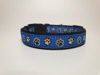 Blue Paws Medium Collar