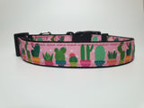 Pink Succulents Large Collar