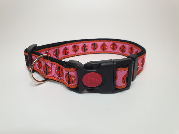 Ladybird Large Collar