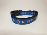 Blue Paws Large Collar