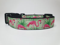 Flamingo Medium Collar