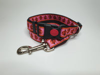 Ladybird Medium Collar