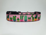 Pink Succulents Medium Collar