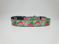 Flamingo Small Collar