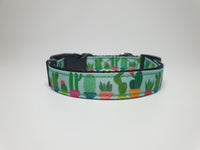 Aqua Blue Succulent Small Collar